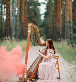 Professional harpist